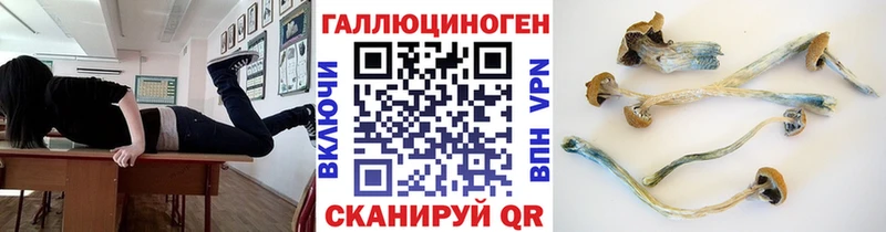Псилоцибиновые грибы ЛСД  купить   Карачаевск 