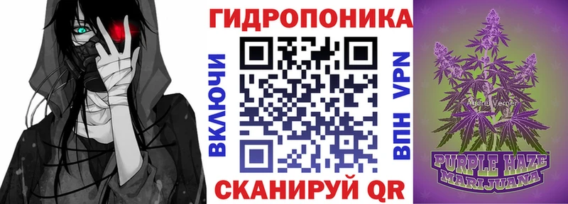 Марихуана план  MEGA сайт  Карачаевск 